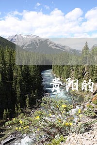 贵阳的律师咨询电话 贵阳的律师咨询电话