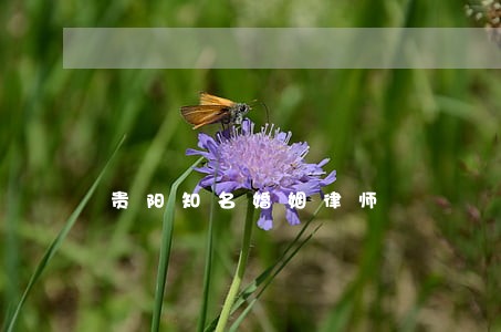 贵阳知名婚姻律师 贵阳知名婚姻律师