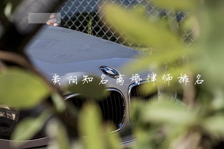 贵阳知名离婚律师排名