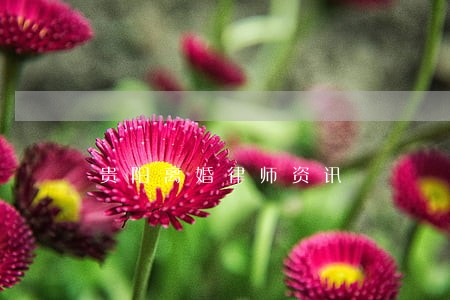 贵阳离婚律师资讯 贵阳离婚律师资讯