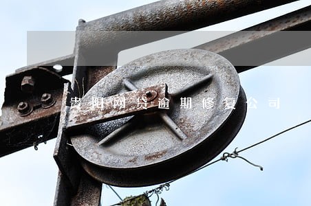 贵阳网贷逾期修复公司 贵阳网贷逾期修复公司