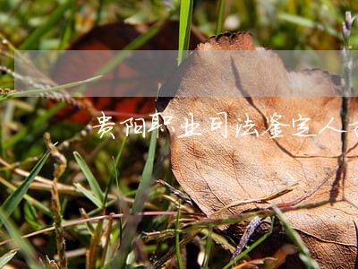 贵阳职业司法鉴定人招聘 贵阳职业司法鉴定人招聘