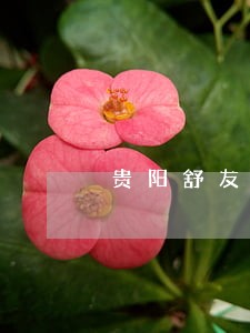 贵阳舒友波律师 贵阳舒友波律师