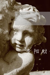 贵阳财优化法律咨询 贵阳财优化法律咨询