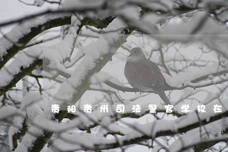 贵阳贵州司法警官学校在哪怎么样 贵阳贵州司法警官学校在哪怎么样