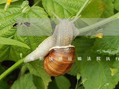 贵阳铁路运输法院执行工作局 贵阳铁路运输法院执行工作局