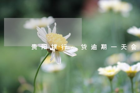 贵阳银行e贷逾期一天会怎么样 贵阳银行e贷逾期一天会怎么样