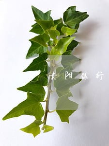 贵阳银行三季报逾期贷款 贵阳银行三季报逾期贷款