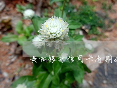 贵阳银行信用卡逾期6天 贵阳银行信用卡逾期6天