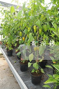 贵阳银行信用卡逾期会不会有费用 贵阳银行信用卡逾期会不会有费用