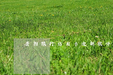 贵阳银行信用卡逾期被停用 贵阳银行信用卡逾期被停用