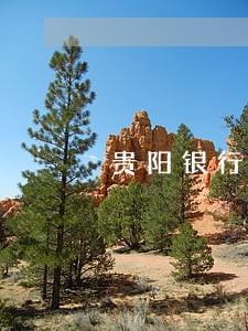 贵阳银行信用卡逾期解封 贵阳银行信用卡逾期解封