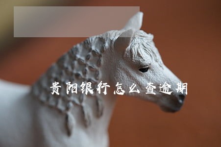 贵阳银行怎么查逾期 贵阳银行怎么查逾期