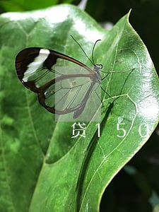 贷1500逾期一个月 贷1500逾期一个月