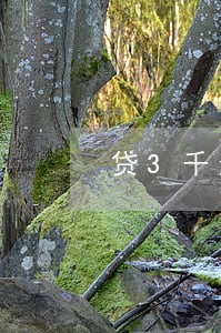 贷3千逾期一个月变5000 贷3千逾期一个月变5000