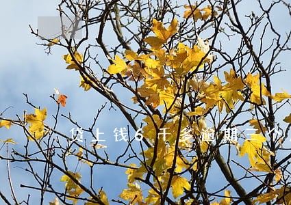 贷上钱6千多逾期三个月