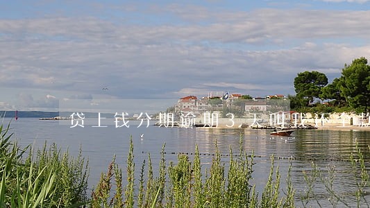 贷上钱分期逾期3天叫我还全款 贷上钱分期逾期3天叫我还全款