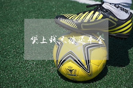 贷上钱只偿还本金 贷上钱只偿还本金