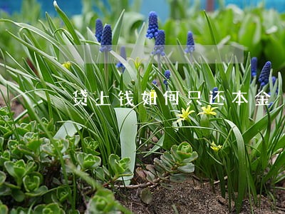 贷上钱如何只还本金