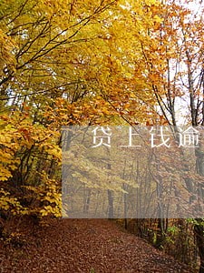 贷上钱逾期10天会怎样 贷上钱逾期10天会怎样