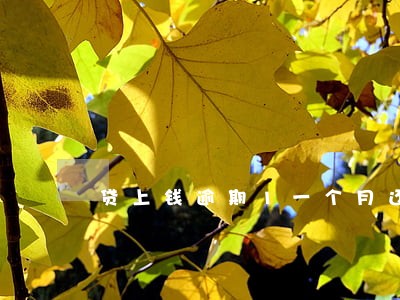 贷上钱逾期1一个月还了 贷上钱逾期1一个月还了