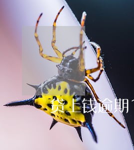 贷上钱逾期1小时 贷上钱逾期1小时