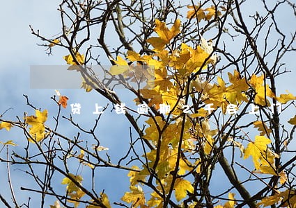 贷上钱逾期2千会上门