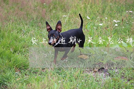 贷上钱逾期4天会怎么样