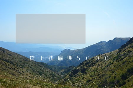 贷上钱逾期5000