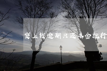 贷上钱逾期只还本金就行了么 贷上钱逾期只还本金就行了么