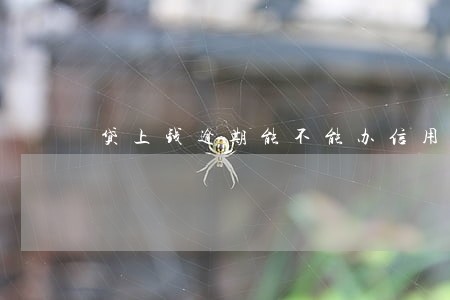 贷上钱逾期能不能办信用卡