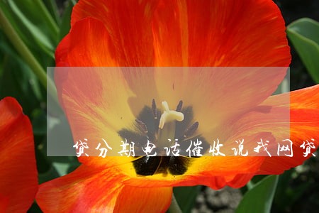 贷分期电话催收说我网贷逾期 贷分期电话催收说我网贷逾期