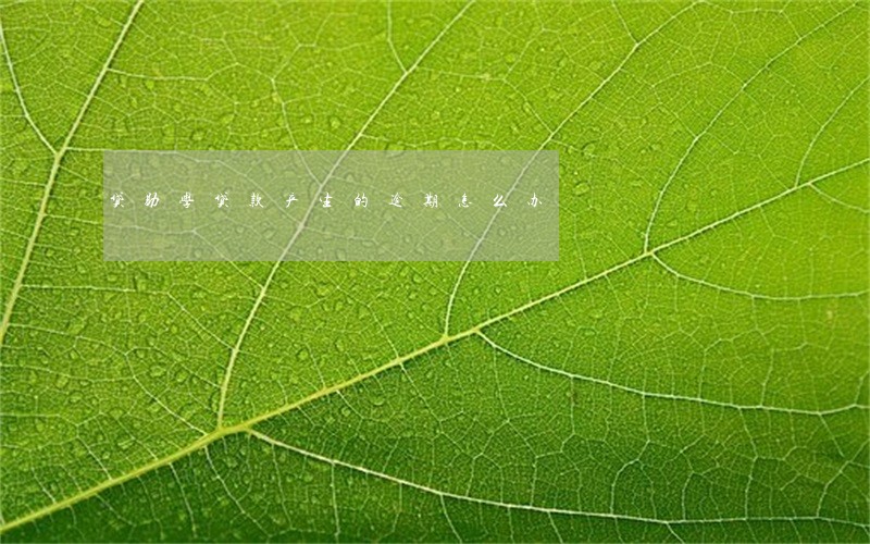 贷助学贷款产生的逾期怎么办 贷助学贷款产生的逾期怎么办
