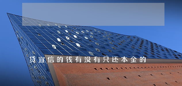贷宜信的钱有没有只还本金的 贷宜信的钱有没有只还本金的