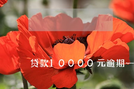 贷款10000元逾期一年 贷款10000元逾期一年