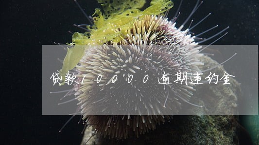 贷款10000逾期违约金