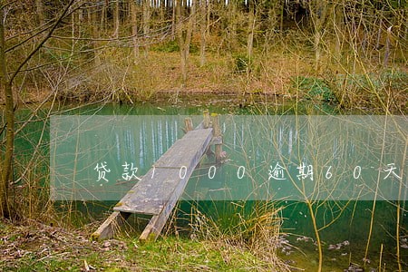 贷款1000逾期60天 贷款1000逾期60天