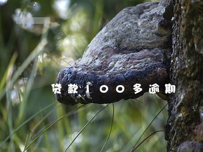 贷款100多逾期