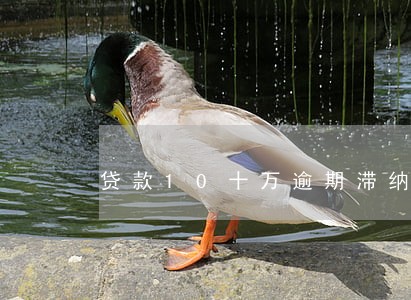 贷款10十万逾期滞纳金