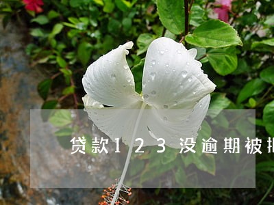 贷款123没逾期被拒绝了 贷款123没逾期被拒绝了