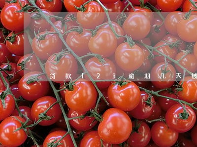 贷款123逾期几天被轰炸