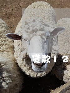 贷款123逾期还能贷吗 贷款123逾期还能贷吗