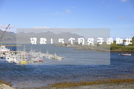 贷款15个月处于逾期状态 贷款15个月处于逾期状态
