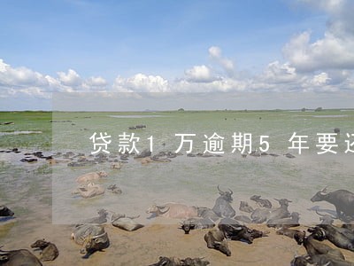 贷款1万逾期5年要还多少钱 贷款1万逾期5年要还多少钱