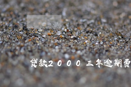 贷款2000三年逾期费多少