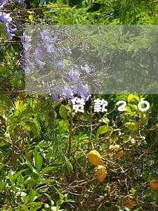 贷款2000逾期会怎样 贷款2000逾期会怎样