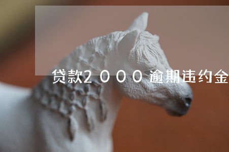 贷款2000逾期违约金 贷款2000逾期违约金