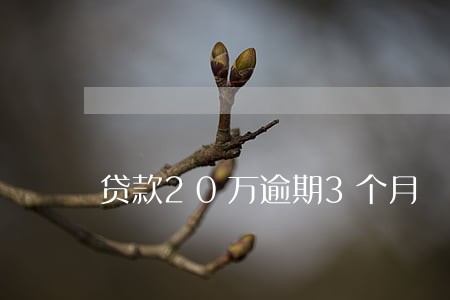 贷款20万逾期3个月 贷款20万逾期3个月