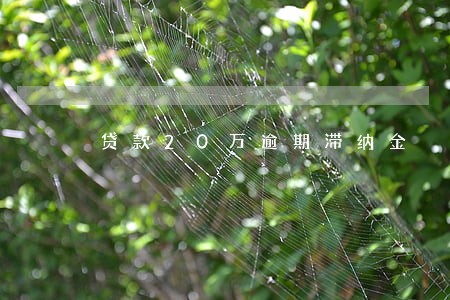 贷款20万逾期滞纳金 贷款20万逾期滞纳金