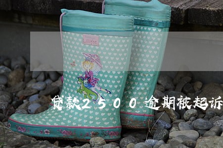 贷款2500逾期被起诉了 贷款2500逾期被起诉了